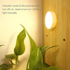 Intelligent Induction Sensor Led Lamp